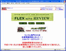 FLEX AUTO REVIEW
